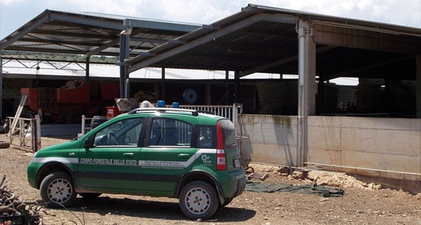 Scoperta stalla senza autorizzazioni a Petilia Policastro, una denuncia 