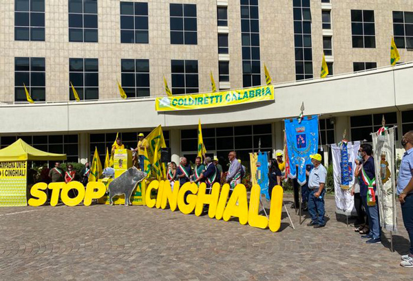 "Stop invasione Cinghiali in Calabria": flash mob della Coldiretti alla Cittadella