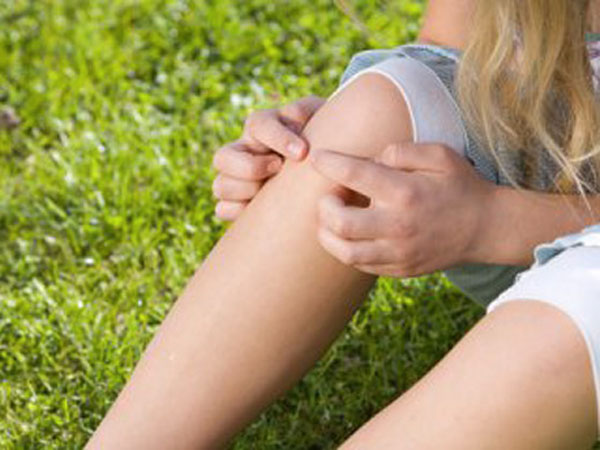 Asp Catanzaro: lotta alle zanzare, campagna informativa sulle misure preventive