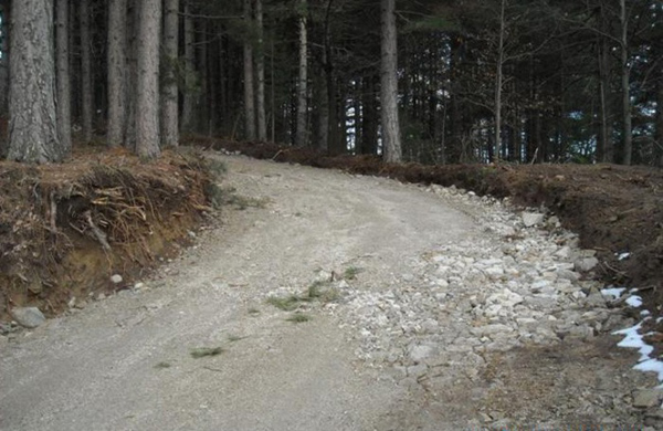 strada-abusiva-corpo-forestale.jpg