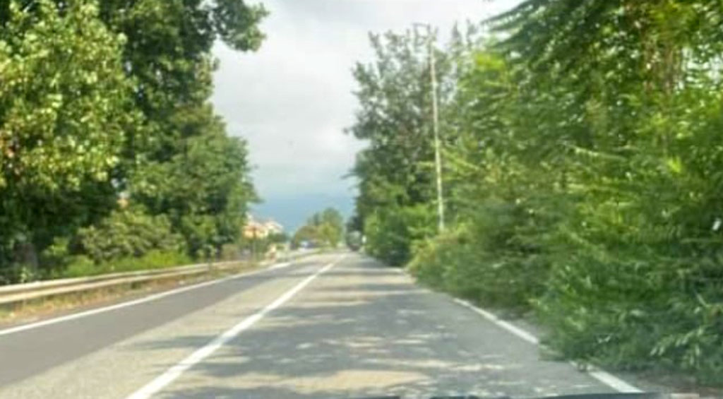 Lamezia, Liotta (Pd): “Erbacce lungo strada che collega aeroporto e stazione, Sant'Eufemia abbandonata da amministrazione”