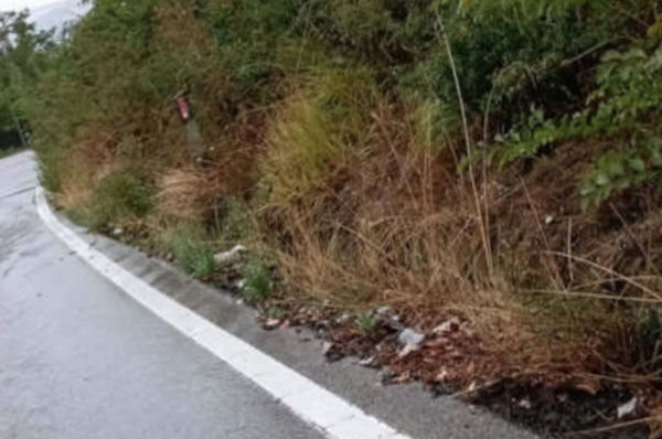 strada_cb5ae.jpg