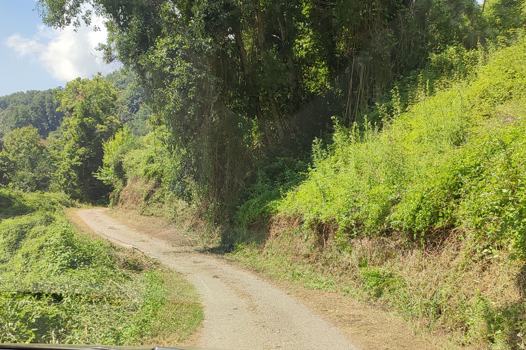 strade275_be80f.jpg