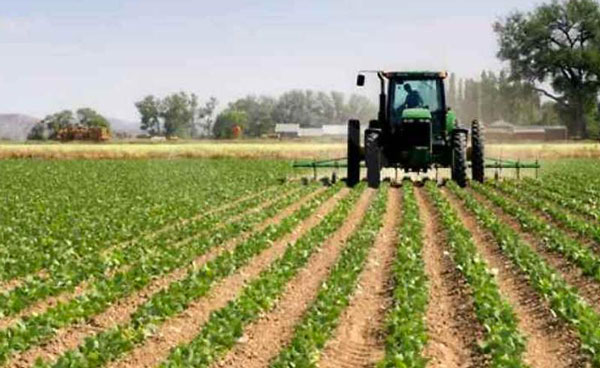 Regione, approvato Complemento di programmazione per lo sviluppo rurale: al via il nuovo PSR 2023/2027