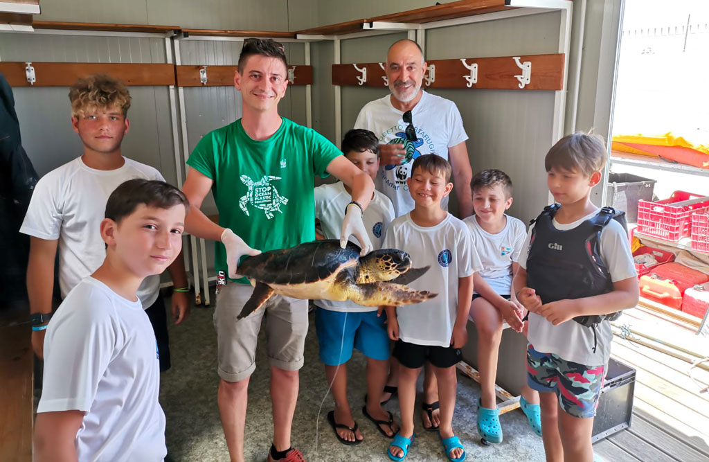 Guarita tartaruga "Caretta caretta" soccorsa a Crotone, tornerà a nuotare in mare aperto