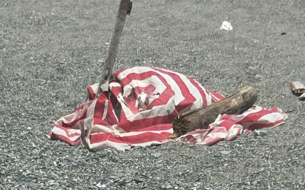 tartaruga17.19.54_c8e93.jpg