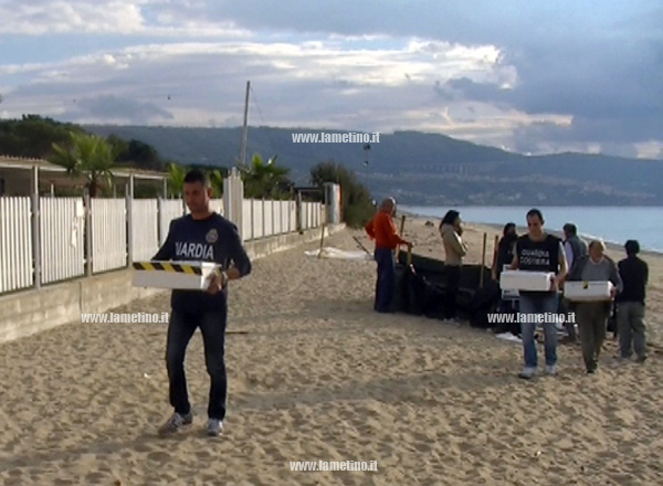 Calabria: Nidiata tartarughe a rischio, uova e piccoli trasferiti 