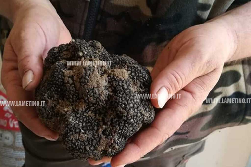 tartufo-mani-20191.jpg