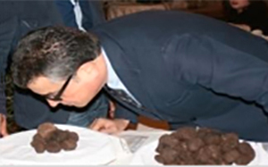 "Tartufo calabrese: fra gastronomie ed economia", il 21 ottobre convegno a Platania