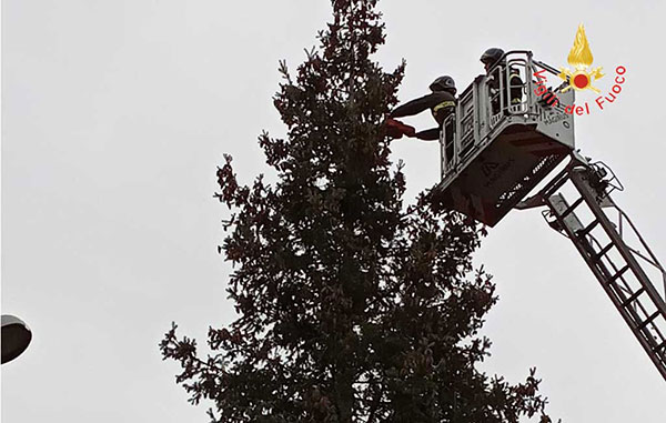 Forti raffiche di vento a Taverna, intervenuti i vigili del fuoco
