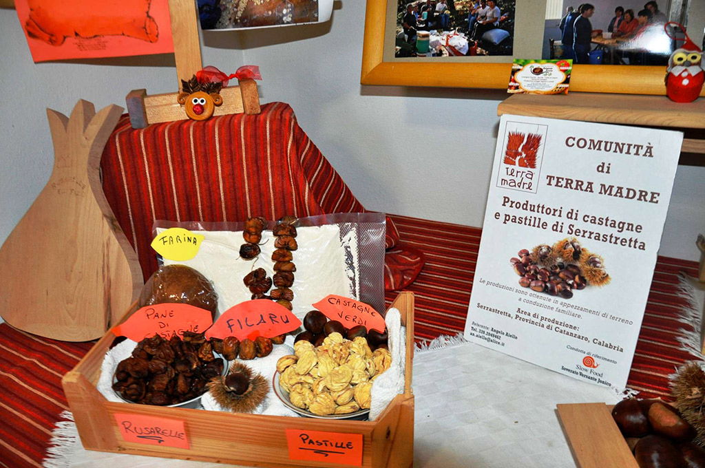 terramadre-day-2.jpg