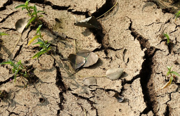 Cambiamenti climatici, nuovo accordo Arpacal e Cnr-Isac per valorizzazione risorse ambientali in Calabria