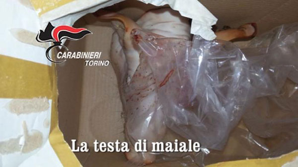 'Ndrangheta: 20 arresti tra Torino e Reggio Calabria, minacce di morte anche con testa di maiale - VIDEO