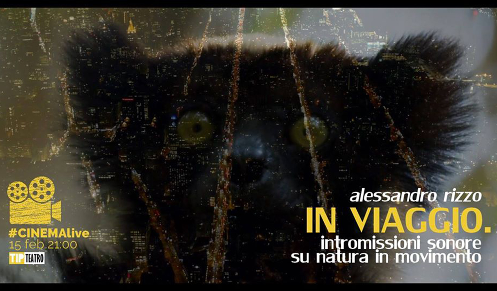 Lamezia, Tip Teatro: cinema live il 15 febbraio e nuovi appuntamenti di letteratura 
