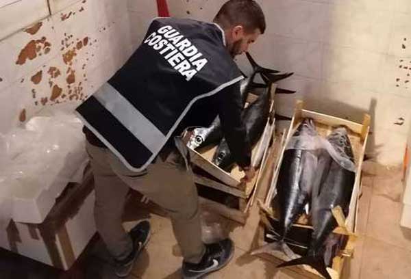 Pesca di frodo, Guardia costiera Crotone sequestra 150 chili di tonno 