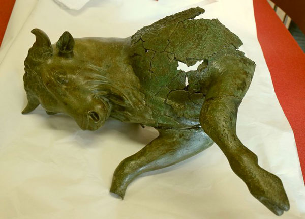 Il Toro cozzante di Sibari esposto al Museo Egizio di Torino