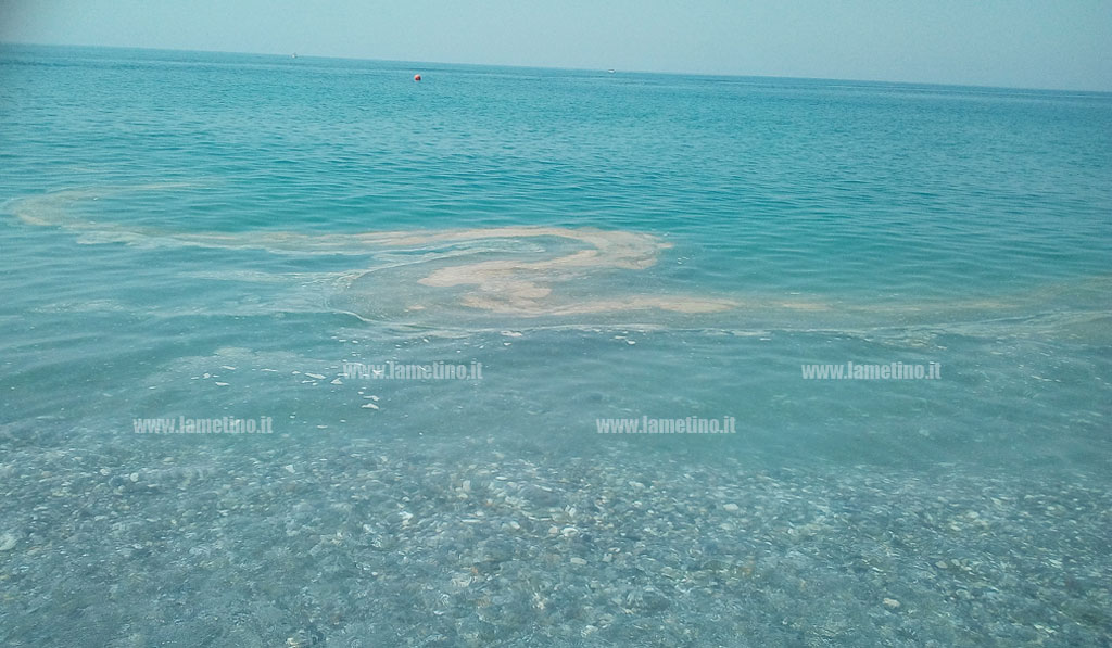Grossa chiazza marrone in acqua, bagnanti in fuga a Falerna