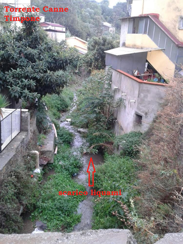 torrente-canne-mtl.jpg