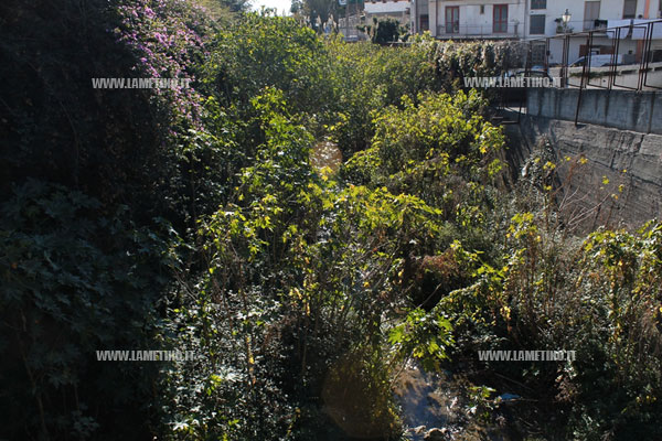 torrente-catnagalli.jpg