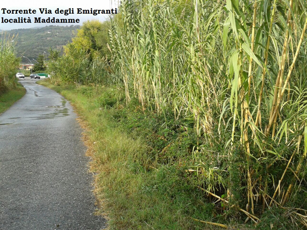 torrente-via-degli-emigranti-mtl.jpg