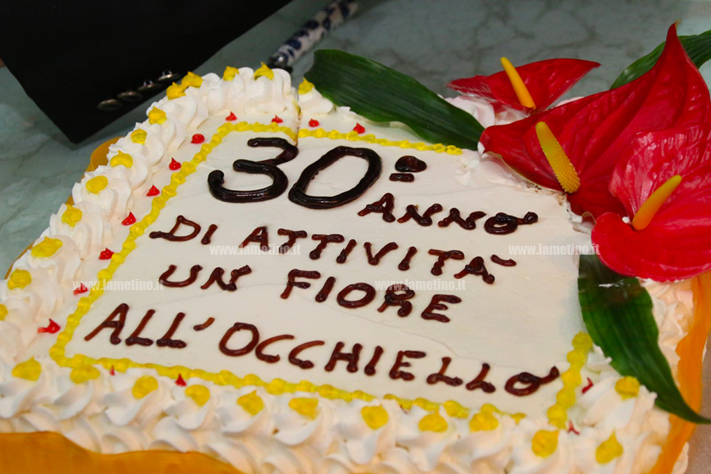 torta_d5b55.jpg