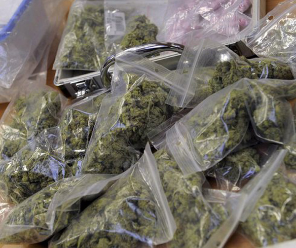 Calabria: Trasportava su pullman diretto al Nord 10 kg marijuana, arrestato 