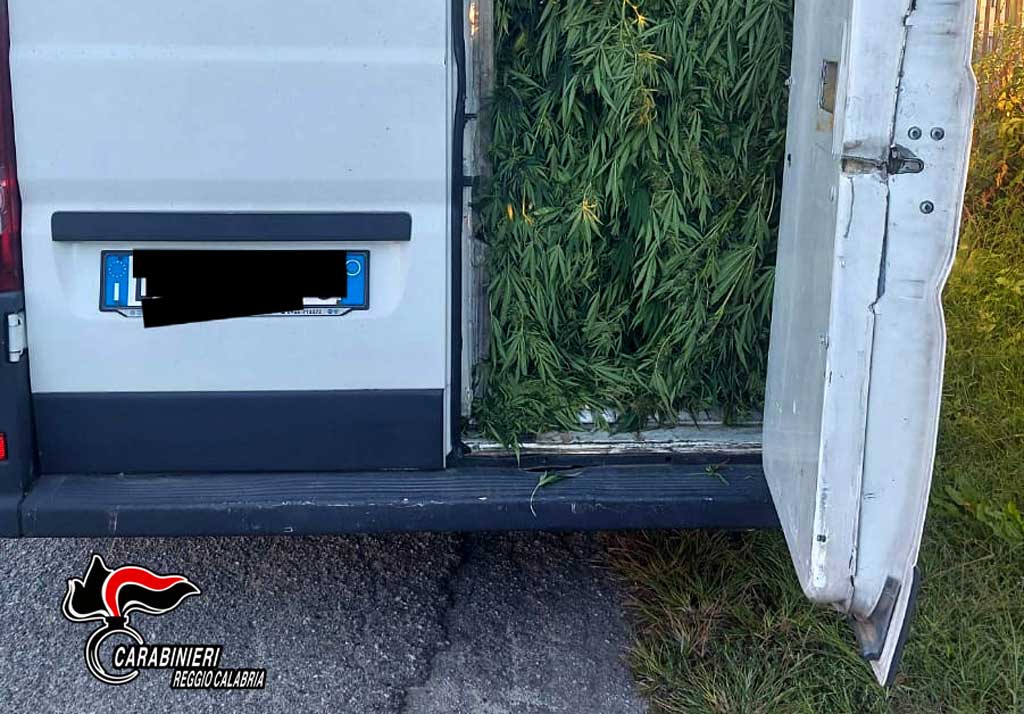 trasporto-e-nella-lavorazione-della-marijuana-4-persone-arrestate_05f86.jpg