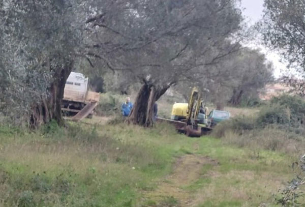 Trattore si ribalta, morto trentenne nel Reggino 