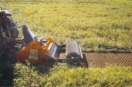 Assegnazione suppletiva di gasolio agricolo per aziende calabresi, Statti: "Regione ha accolto nostre sollecitazioni"