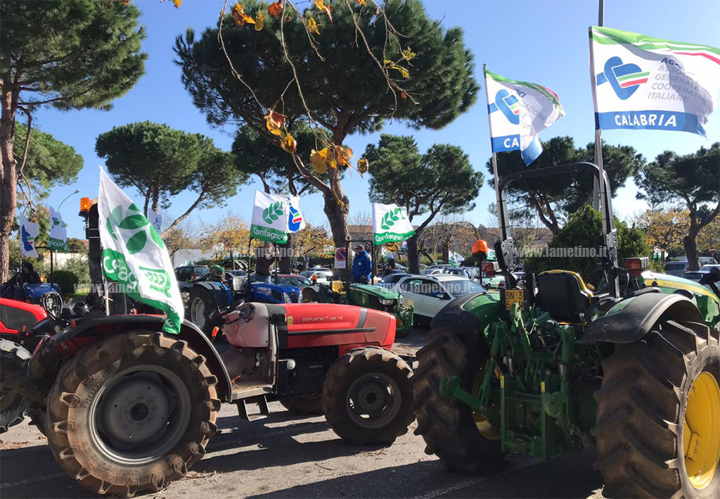 trattoriprotesta-20191.jpg