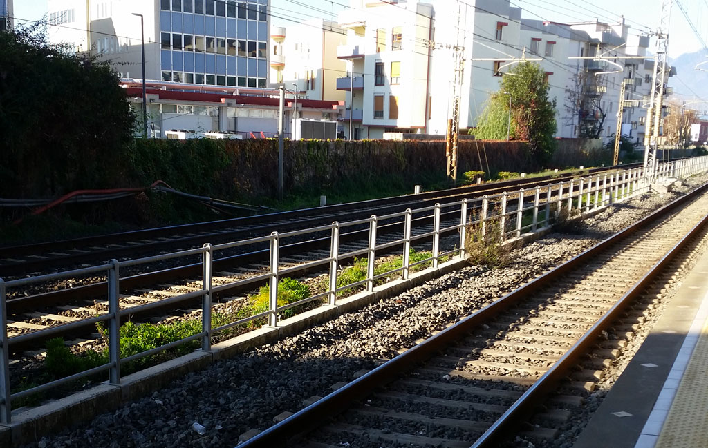 treni-stazione-25-gen.jpg