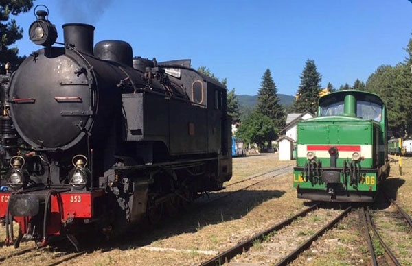 Alla scoperta dei Giganti della Sila in treno per le Giornate FAI di Primavera