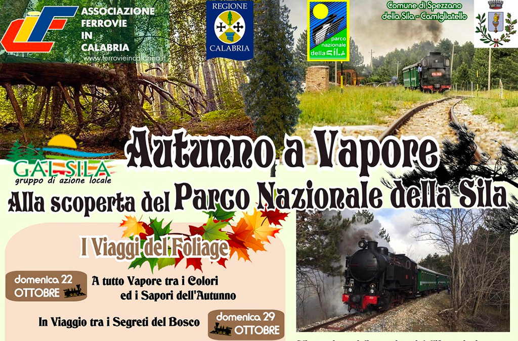 treno-09302017-093857.jpg
