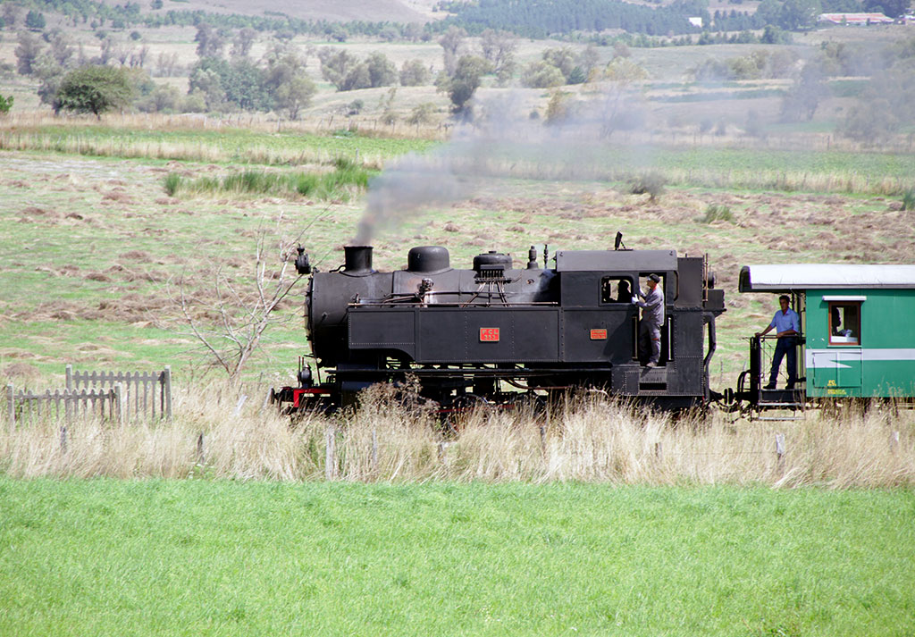 Conclusa iniziativa "Estate a vapore" in Sila, ad autunno arriva il treno del vino e quello dei sapori silani