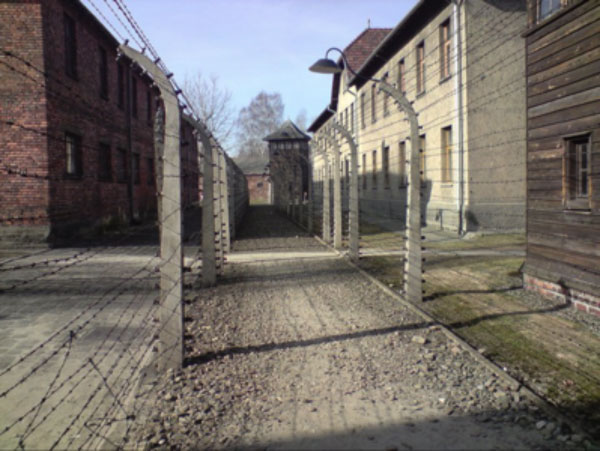 treno-memoria-2011.jpg