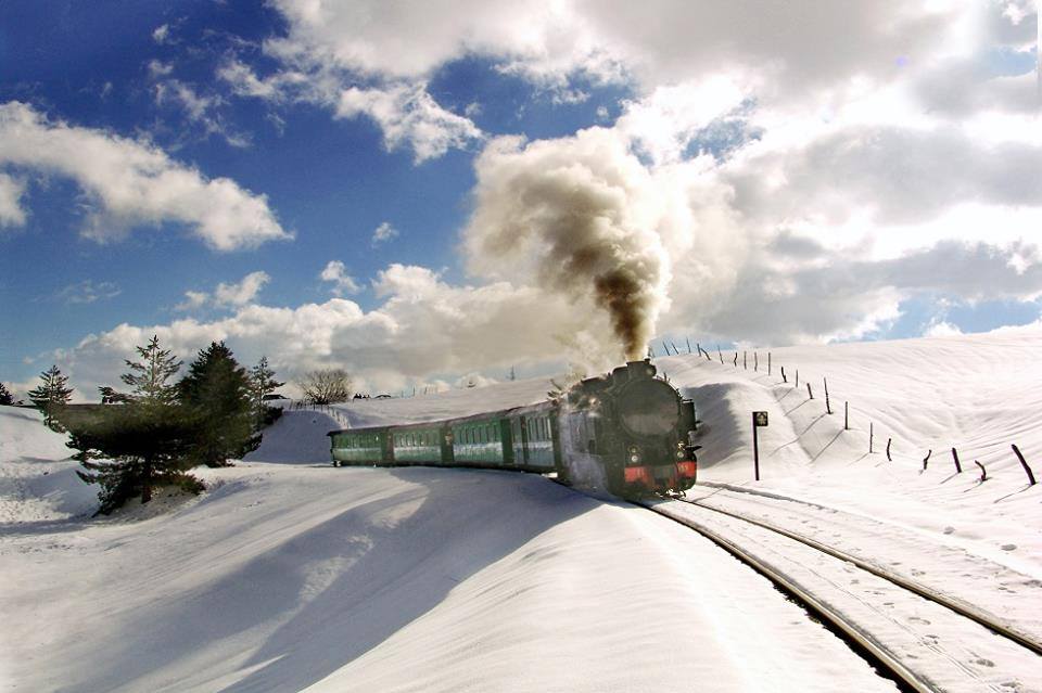 Legambiente: ferrovia silana nell'elenco delle ferrovie turistiche, Regione si impegni ora per la sua salvaguardia