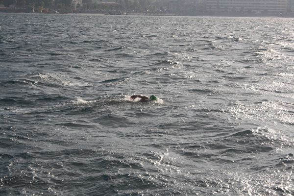 trofeo-nuoto-rosamaria-viterbo-2014.jpg