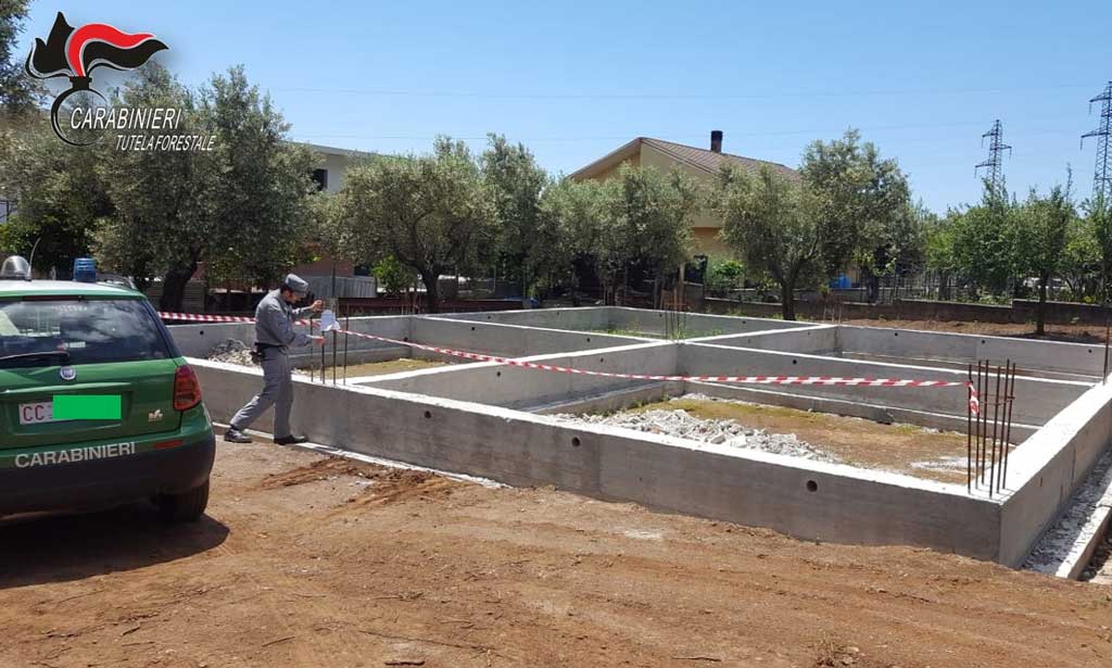 tutela-ambianete-cc-lamezia-20191.jpg