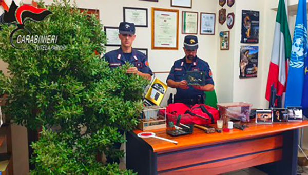 Sorpresi a praticare uccellagione, due denunce nel cosentino