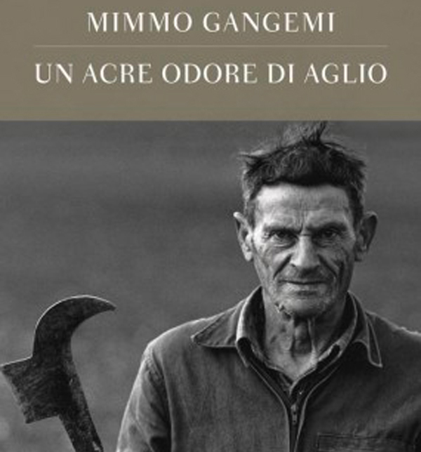 Libri: da oggi il nuovo romanzo di Mimmo Gangemi