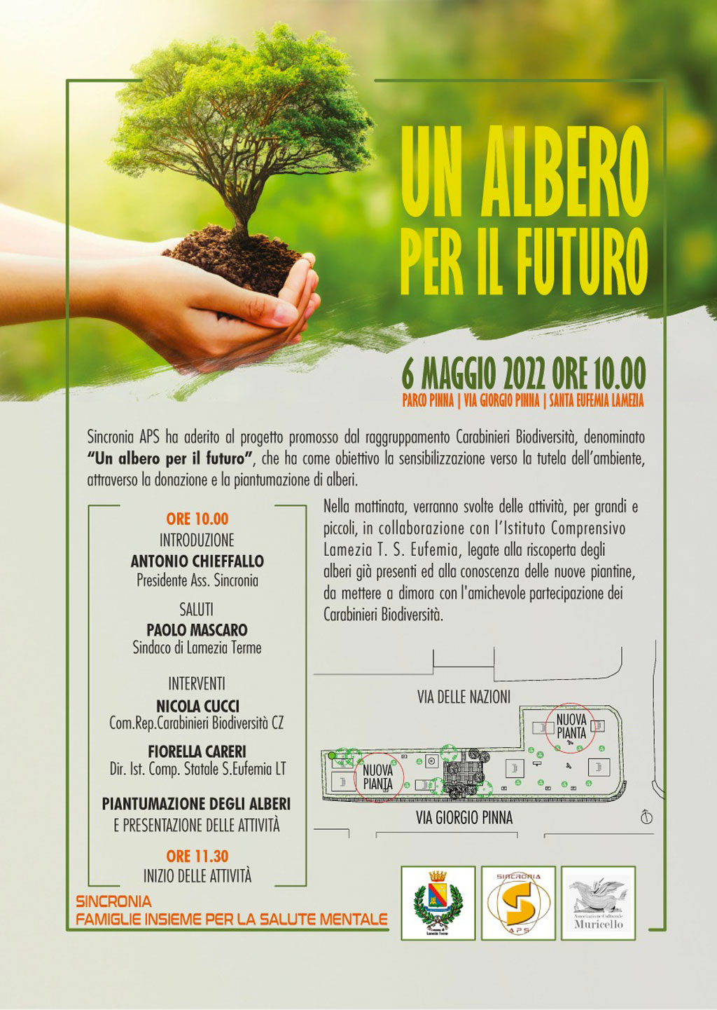 un-albero-per-la-vita_6b51a.jpg