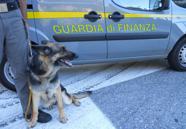 Calabria: Sequestrata cocaina ed eroina vicino scuola nel crotonese