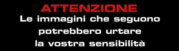 urtare_sensibilita.jpg