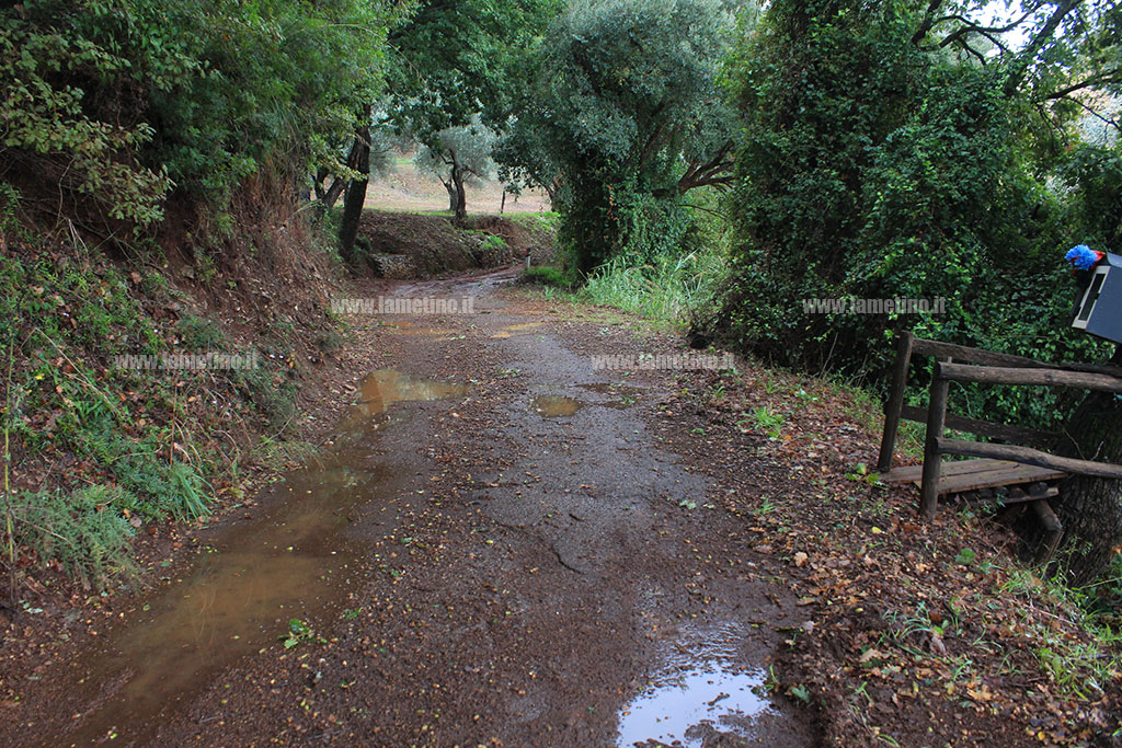 velati-rametta-2019.jpg