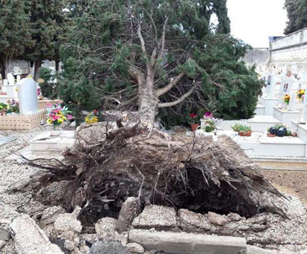ventoforteincalabria-12022019.jpg