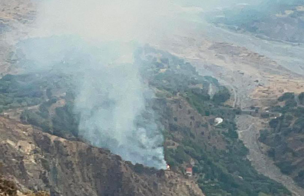 Incendi, fuoco minaccia Foreste Vetuste nel Parco Aspromonte