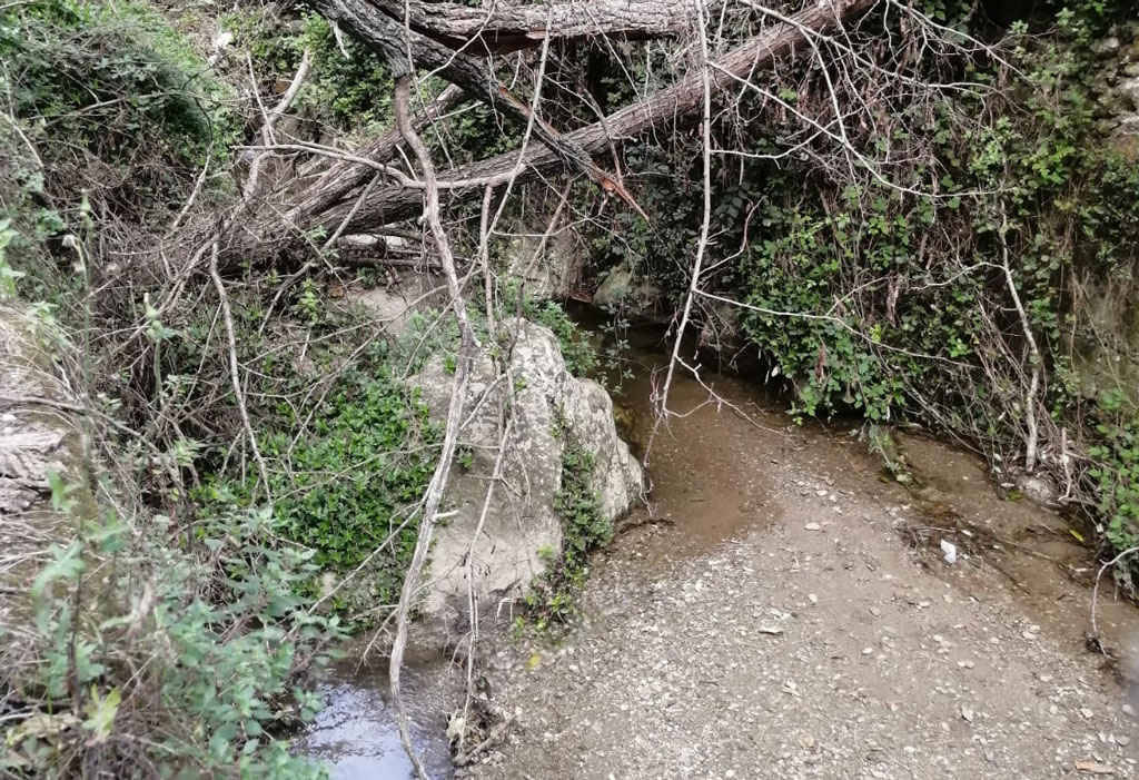 Lamezia, consiglieri centrodestra: "Richiesta urgente di pulizia corsi d’acqua cittadini attraverso convenzione con Calabria verde"