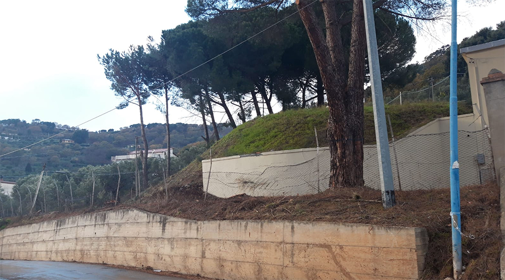 Lamezia, Villella (Mtl): “Risolto il problema alberi pericolanti a Bella”