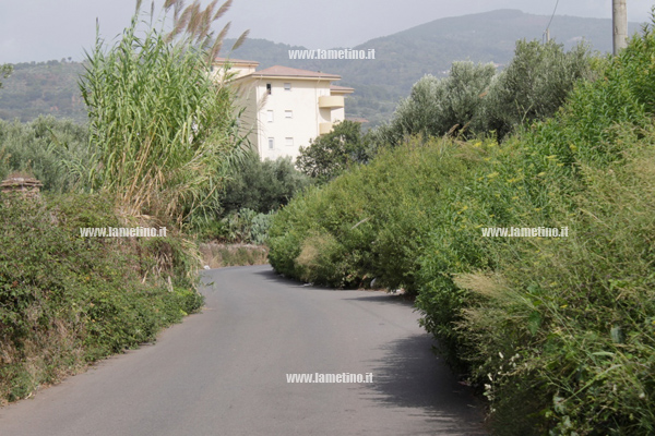 via-delle-rose-vegetazione-settembre-2014.jpg