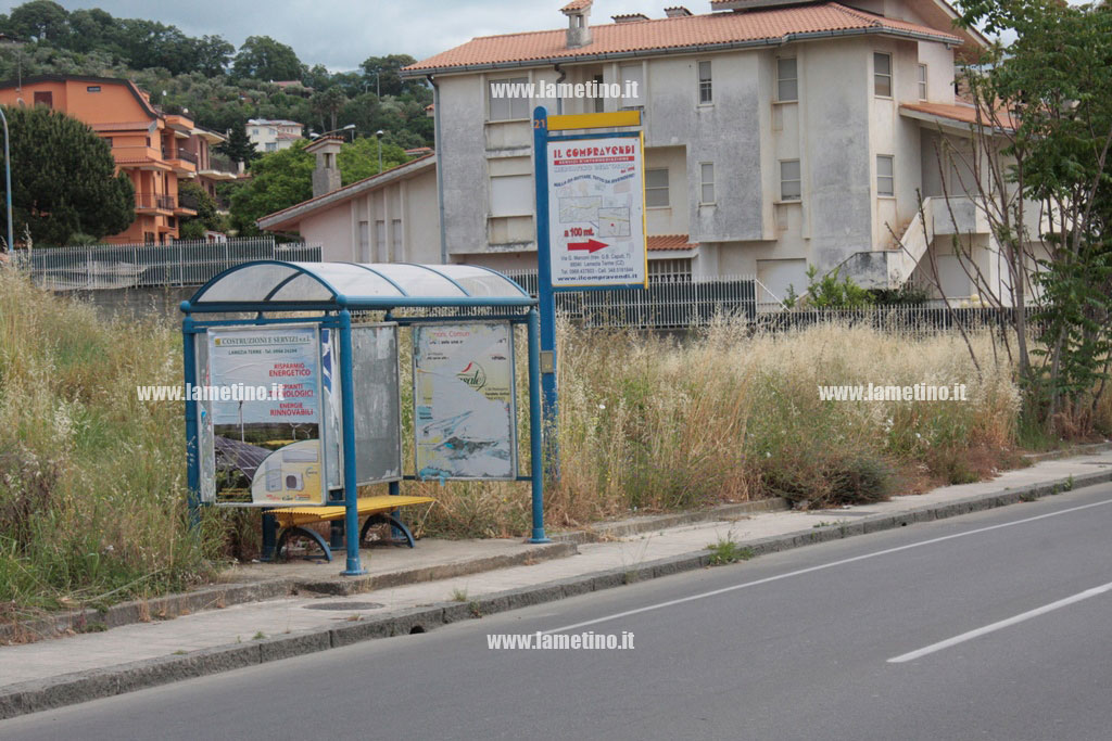 Lamezia: erbacce invadono marciapiedi e pensiline su via Marconi